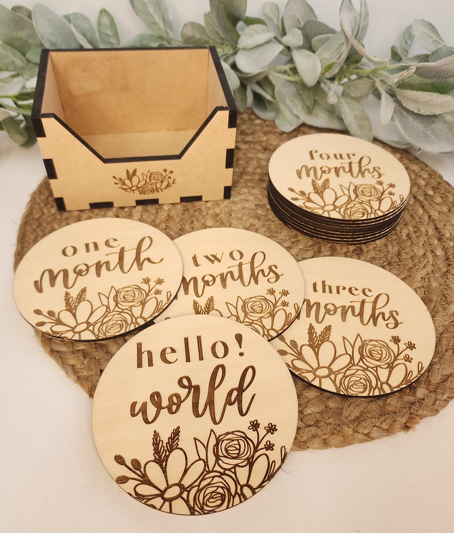 Daisy and Rose Monthly Milestone Discs