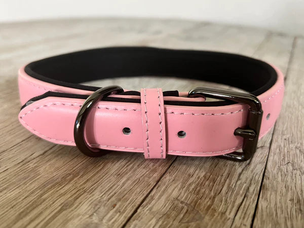 Leather Dog Collar